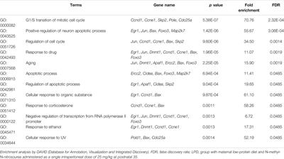 Maternal Low-Protein Diet Deregulates DNA Repair and DNA Replication Pathways in Female Offspring Mammary Gland Leading to Increased Chemically Induced Rat Carcinogenesis in Adulthood